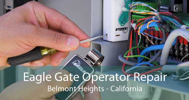 Eagle Gate Operator Repair Belmont Heights - California